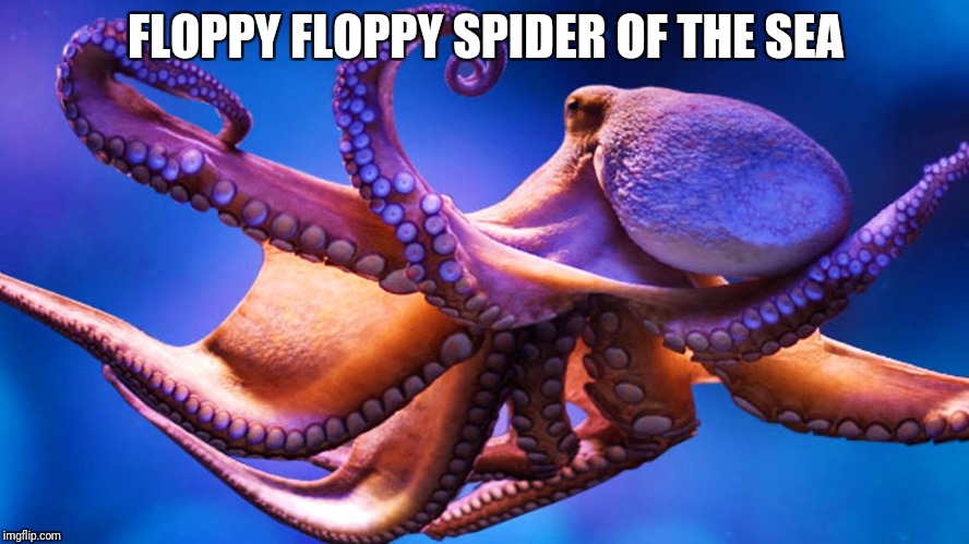 Sea spider | FLOPPY FLOPPY SPIDER OF THE SEA | image tagged in octopus | made w/ Imgflip meme maker