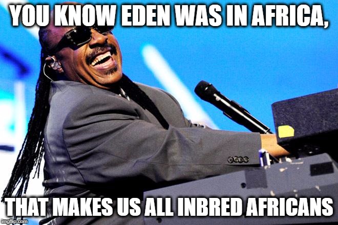 Wonder | YOU KNOW EDEN WAS IN AFRICA, THAT MAKES US ALL INBRED AFRICANS | image tagged in wonder | made w/ Imgflip meme maker