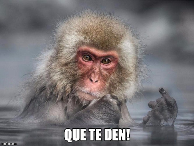 QUE TE DEN! | made w/ Imgflip meme maker