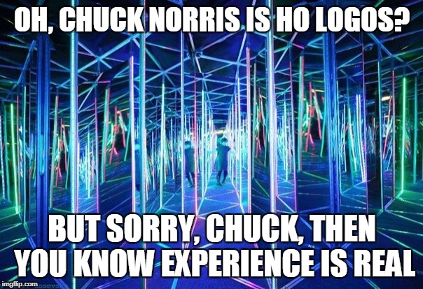 OH, CHUCK NORRIS IS HO LOGOS? BUT SORRY, CHUCK, THEN YOU KNOW EXPERIENCE IS REAL | made w/ Imgflip meme maker