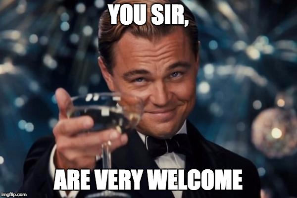 Leonardo Dicaprio Cheers Meme | YOU SIR, ARE VERY WELCOME | image tagged in memes,leonardo dicaprio cheers | made w/ Imgflip meme maker