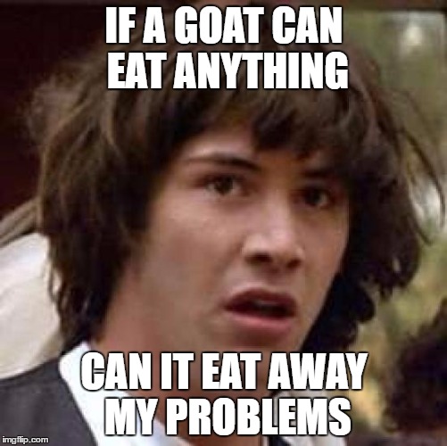 Prehaps
 | IF A GOAT CAN EAT ANYTHING; CAN IT EAT AWAY MY PROBLEMS | image tagged in memes,conspiracy keanu | made w/ Imgflip meme maker