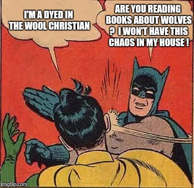 Batman Slapping Robin Meme | I'M A DYED IN THE WOOL CHRISTIAN ARE YOU READING BOOKS ABOUT WOLVES ?  I WON'T HAVE THIS CHAOS IN MY HOUSE ! | image tagged in memes,batman slapping robin | made w/ Imgflip meme maker