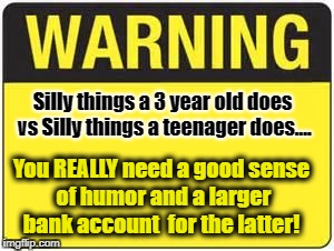 blank warning sign | Silly things a 3 year old does vs Silly things a teenager does.... You REALLY need a good sense of humor and a larger bank account  for the latter! | image tagged in blank warning sign | made w/ Imgflip meme maker