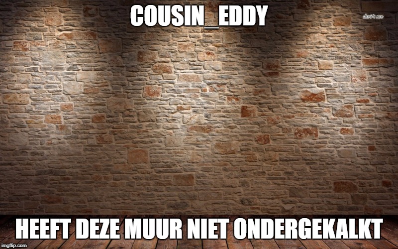 Writing on the Wall | COUSIN_EDDY; HEEFT DEZE MUUR NIET ONDERGEKALKT | image tagged in writing on the wall | made w/ Imgflip meme maker