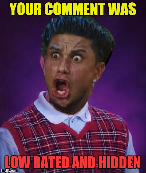 Bad Luck DJ Pauly | YOUR COMMENT WAS LOW RATED AND HIDDEN | image tagged in bad luck dj pauly | made w/ Imgflip meme maker