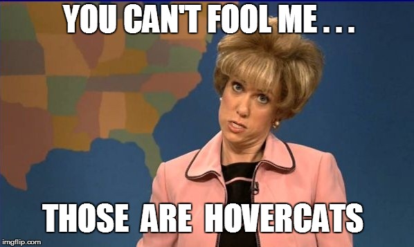 THOSE  ARE  HOVERCATS YOU CAN'T FOOL ME . . . | made w/ Imgflip meme maker