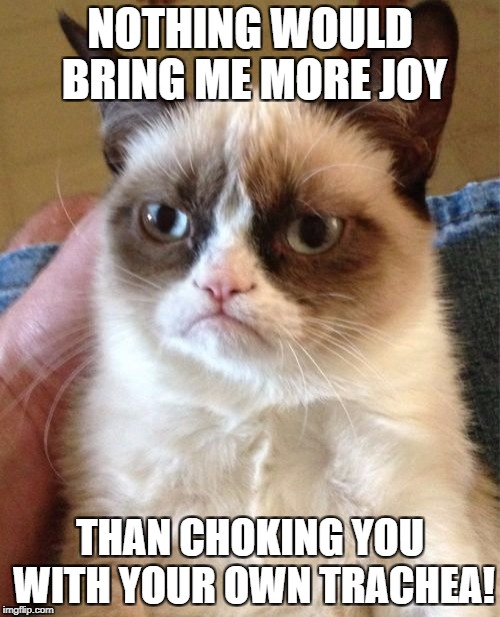 Grumpy Cat | NOTHING WOULD BRING ME MORE JOY; THAN CHOKING YOU WITH YOUR OWN TRACHEA! | image tagged in memes,grumpy cat | made w/ Imgflip meme maker