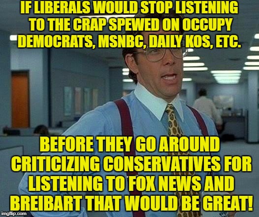 That Would Be Great | IF LIBERALS WOULD STOP LISTENING TO THE CRAP SPEWED ON OCCUPY DEMOCRATS, MSNBC, DAILY KOS, ETC. BEFORE THEY GO AROUND CRITICIZING CONSERVATIVES FOR LISTENING TO FOX NEWS AND BREIBART THAT WOULD BE GREAT! | image tagged in memes,that would be great,msnbc,occupy democrats,fox news,liberal hypocrisy | made w/ Imgflip meme maker
