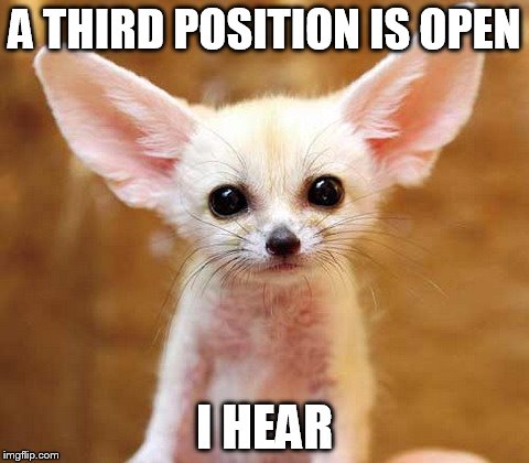 A THIRD POSITION IS OPEN; I HEAR | made w/ Imgflip meme maker