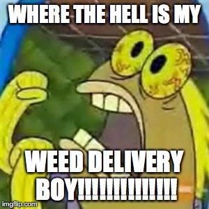 CHOCOLATE SpongeBob meme | WHERE THE HELL IS MY; WEED DELIVERY BOY!!!!!!!!!!!!!! | image tagged in chocolate spongebob meme | made w/ Imgflip meme maker