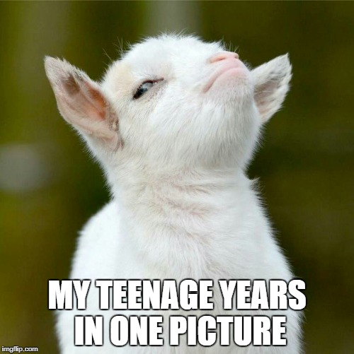 MY TEENAGE YEARS IN ONE PICTURE | image tagged in smug goat | made w/ Imgflip meme maker