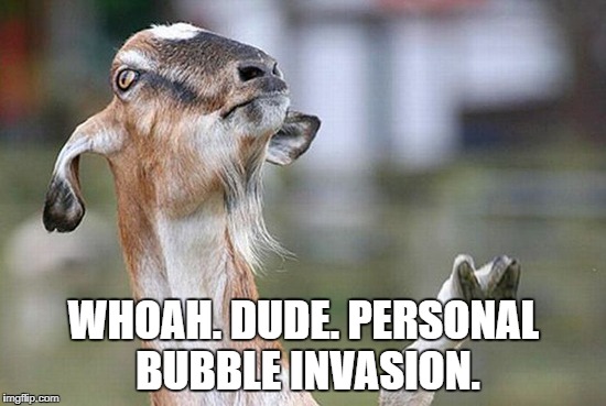 Billy goat no thanks | WHOAH. DUDE. PERSONAL BUBBLE INVASION. | image tagged in billy goat no thanks | made w/ Imgflip meme maker