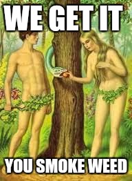 Adam and Eve | WE GET IT; YOU SMOKE WEED | image tagged in adam and eve | made w/ Imgflip meme maker