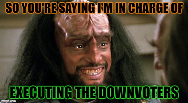 Down With Downvotes Weekend Dec 8-10, a JBmemegeek, 1forpeace & isayisay campaign! | SO YOU'RE SAYING I'M IN CHARGE OF; EXECUTING THE DOWNVOTERS | image tagged in down with downvotes weekend,downvote | made w/ Imgflip meme maker