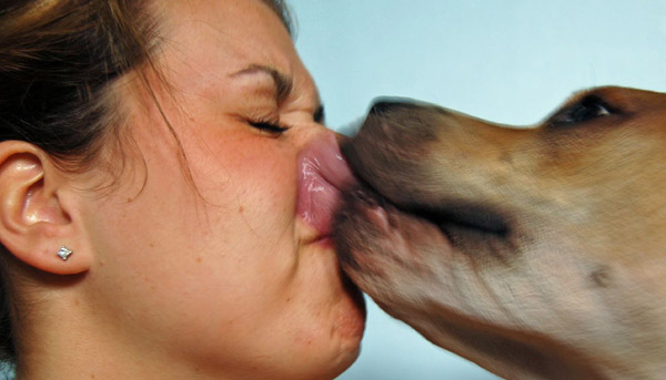 High Quality Dog Kisses Blank Meme Template