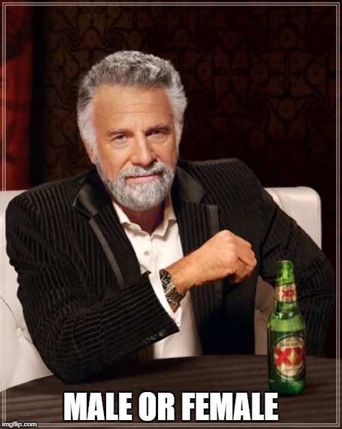 The Most Interesting Man In The World Meme | MALE OR FEMALE | image tagged in memes,the most interesting man in the world | made w/ Imgflip meme maker
