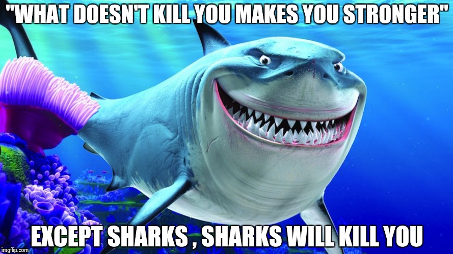 As the saying goes . . . | "WHAT DOESN'T KILL YOU MAKES YOU STRONGER"; EXCEPT SHARKS , SHARKS WILL KILL YOU | image tagged in happy shark,whatever,deadly,sea life | made w/ Imgflip meme maker