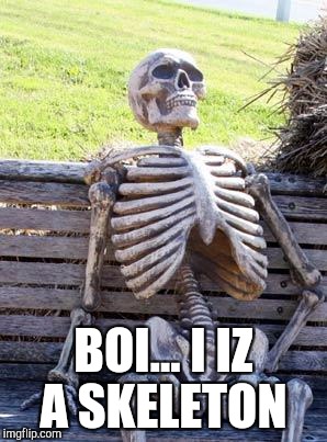 Waiting Skeleton Meme | BOI... I IZ A SKELETON | image tagged in memes,waiting skeleton | made w/ Imgflip meme maker