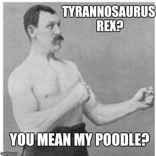 Overly Manly Man | TYRANNOSAURUS REX? YOU MEAN MY POODLE? | image tagged in memes,overly manly man | made w/ Imgflip meme maker