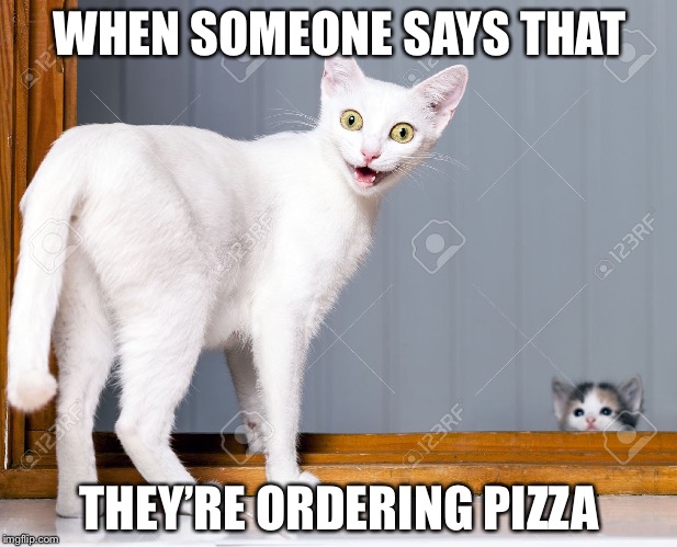 Pizza?! | WHEN SOMEONE SAYS THAT; THEY’RE ORDERING PIZZA | image tagged in memes,surprised cat,funny | made w/ Imgflip meme maker