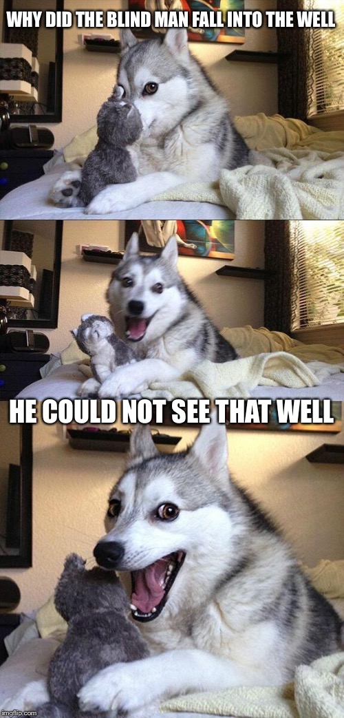 Bad Pun Dog | WHY DID THE BLIND MAN FALL INTO THE WELL; HE COULD NOT SEE THAT WELL | image tagged in memes,bad pun dog | made w/ Imgflip meme maker