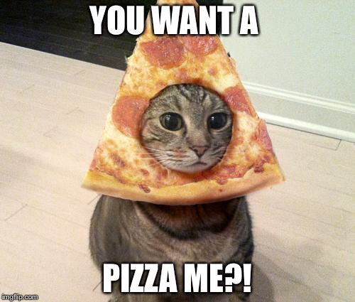 A new challenger approaches  | YOU WANT A; PIZZA ME?! | image tagged in pizza cat | made w/ Imgflip meme maker