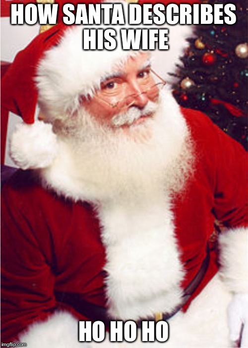 Savage Santa
 | HOW SANTA DESCRIBES HIS WIFE; HO HO HO | image tagged in santa claus | made w/ Imgflip meme maker