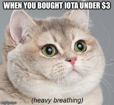 Heavy Breathing Cat Meme | WHEN YOU BOUGHT IOTA UNDER $3 | image tagged in memes,heavy breathing cat | made w/ Imgflip meme maker