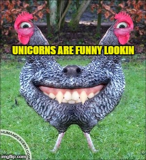 UNICORNS ARE FUNNY LOOKIN | made w/ Imgflip meme maker