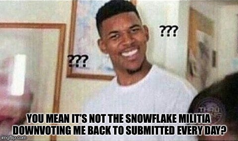 YOU MEAN IT’S NOT THE SNOWFLAKE MILITIA DOWNVOTING ME BACK TO SUBMITTED EVERY DAY? | made w/ Imgflip meme maker