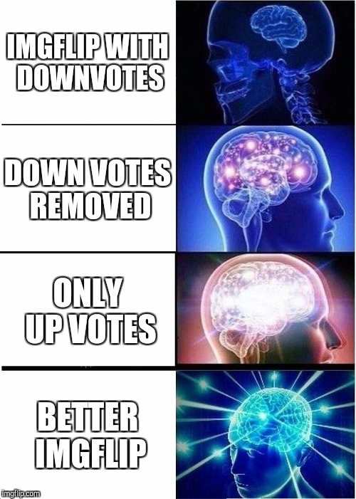 Expanding Brain Meme | IMGFLIP WITH DOWNVOTES; DOWN VOTES REMOVED; ONLY UP VOTES; BETTER IMGFLIP | image tagged in memes,expanding brain | made w/ Imgflip meme maker