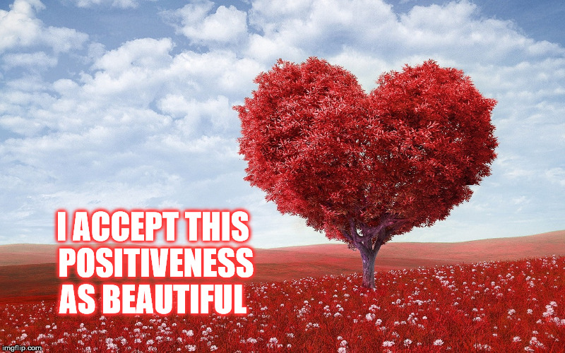 I ACCEPT THIS POSITIVENESS AS BEAUTIFUL | made w/ Imgflip meme maker