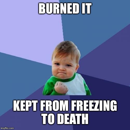 Success Kid Meme | BURNED IT KEPT FROM FREEZING TO DEATH | image tagged in memes,success kid | made w/ Imgflip meme maker