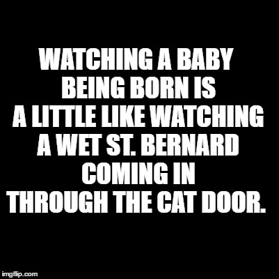 Pregnancy | WATCHING A BABY BEING BORN IS A LITTLE LIKE WATCHING A WET ST. BERNARD COMING IN THROUGH THE CAT DOOR. | image tagged in baby,pregnancy,pregnant woman,funny memes,memes | made w/ Imgflip meme maker
