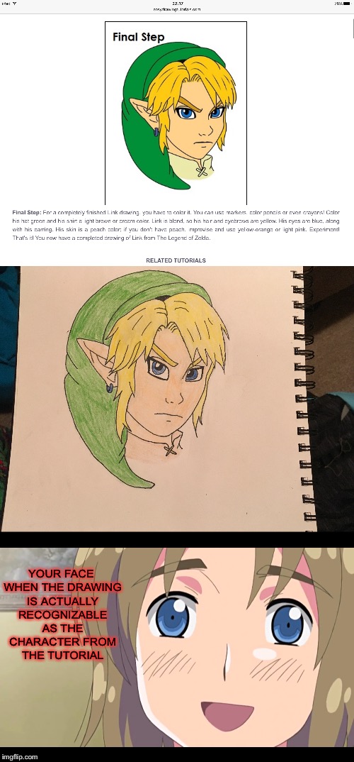 YOUR FACE WHEN THE DRAWING IS ACTUALLY RECOGNIZABLE AS THE CHARACTER FROM THE TUTORIAL | image tagged in drawing,art,legend of zelda,link,hetalia,tutorials | made w/ Imgflip meme maker