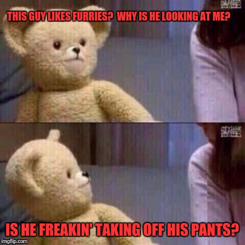What? Teddy Bear | THIS GUY LIKES FURRIES?  WHY IS HE LOOKING AT ME? IS HE FREAKIN' TAKING OFF HIS PANTS? | image tagged in what teddy bear | made w/ Imgflip meme maker