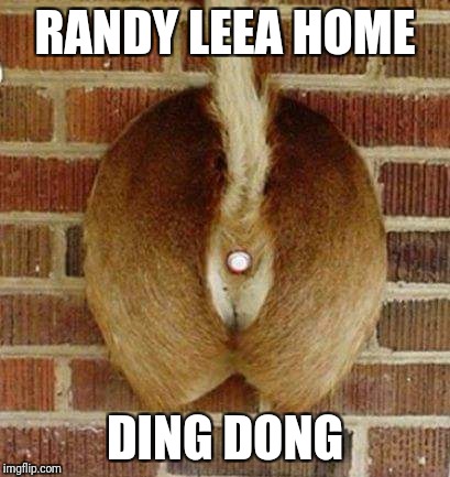 hello are you there hello hole | RANDY LEEA HOME; DING DONG | image tagged in hello are you there hello hole | made w/ Imgflip meme maker