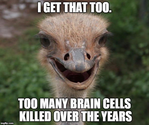 I GET THAT TOO. TOO MANY BRAIN CELLS KILLED OVER THE YEARS | made w/ Imgflip meme maker