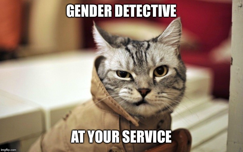 GENDER DETECTIVE AT YOUR SERVICE | made w/ Imgflip meme maker