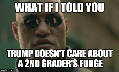Matrix Morpheus Meme | WHAT IF I TOLD YOU TRUMP DOESN'T CARE ABOUT A 2ND GRADER'S FUDGE | image tagged in memes,matrix morpheus | made w/ Imgflip meme maker