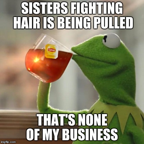 But That's None Of My Business | SISTERS FIGHTING HAIR IS BEING PULLED; THAT'S NONE OF MY BUSINESS | image tagged in memes,but thats none of my business,kermit the frog | made w/ Imgflip meme maker