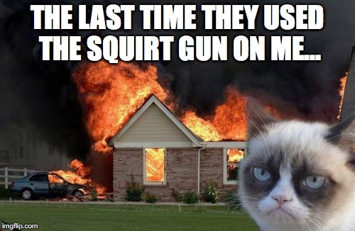 Never mess with this cat... | THE LAST TIME THEY USED THE SQUIRT GUN ON ME... | image tagged in memes,burn kitty,grumpy cat | made w/ Imgflip meme maker