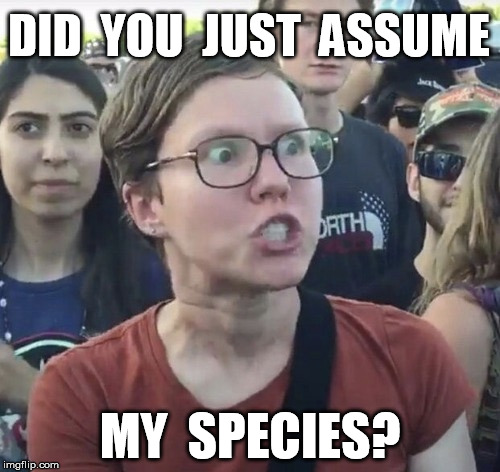 When SJWs play Dungeons and Dragons |  DID  YOU  JUST  ASSUME; MY  SPECIES? | image tagged in triggered feminist,dd,dnd,dungeons and dragond,fantastic racism | made w/ Imgflip meme maker
