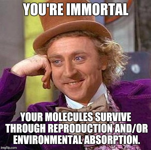 Creepy Condescending Wonka Meme | YOU'RE IMMORTAL YOUR MOLECULES SURVIVE THROUGH REPRODUCTION AND/OR ENVIRONMENTAL ABSORPTION. | image tagged in memes,creepy condescending wonka | made w/ Imgflip meme maker