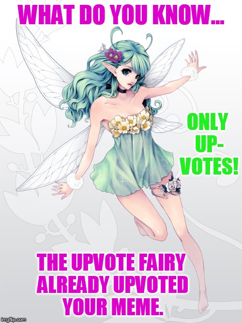 WHAT DO YOU KNOW... THE UPVOTE FAIRY ALREADY UPVOTED YOUR MEME. ONLY UP- VOTES! | made w/ Imgflip meme maker