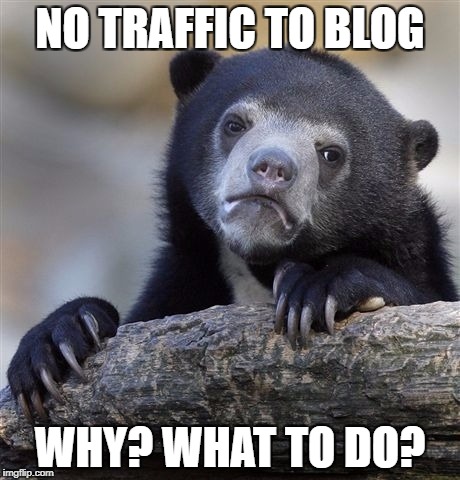 Confession Bear Meme | NO TRAFFIC TO BLOG; WHY? WHAT TO DO? | image tagged in memes,confession bear | made w/ Imgflip meme maker