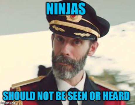 Captain Obvious | NINJAS; SHOULD NOT BE SEEN OR HEARD | image tagged in captain obvious,americanpenguin | made w/ Imgflip meme maker