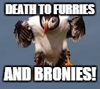 DEATH TO FURRIES AND BRONIES! | made w/ Imgflip meme maker