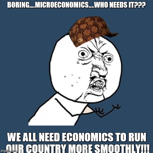 Y U No Meme | BORING....MICROECONOMICS....WHO NEEDS IT??? WE ALL NEED ECONOMICS TO RUN OUR COUNTRY MORE SMOOTHLY!!! | image tagged in memes,y u no,scumbag | made w/ Imgflip meme maker